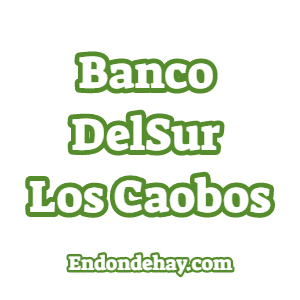 Banco DelSur Los Caobos