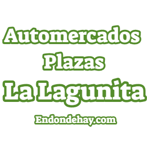 Automercados Plazas La Lagunita