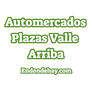 Automercados Plazas Valle Arriba