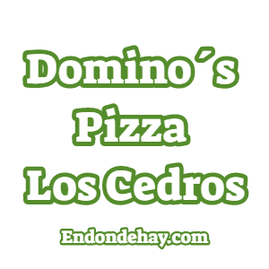 Dominos Pizza Los Cedros