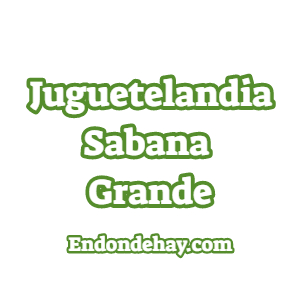 Juguetelandia Sabana Grande