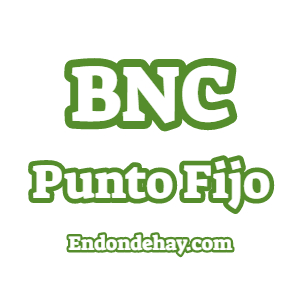 Banco Nacional de Crédito BNC Punto Fijo