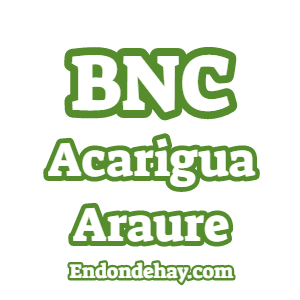 Banco Nacional de Crédito BNC Acarigua Araure