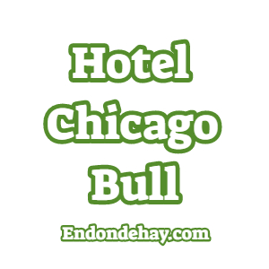 Hotel Chicago Bull