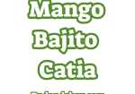 Mango Bajito Catia Caracas II
