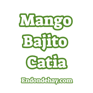 Mango Bajito Catia