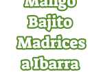 Mango Bajito Madrices a Ibarra Caracas
