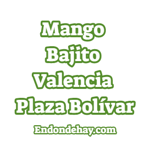 Mango Bajito Valencia Plaza Bolívar