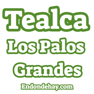 Tealca Los Palos Grandes
