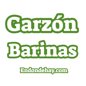 Garzón Barinas