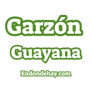 Garzón Guayana San Cristóbal