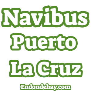 Ferry Navibus Puerto La Cruz|Navibus Puerto La Cruz