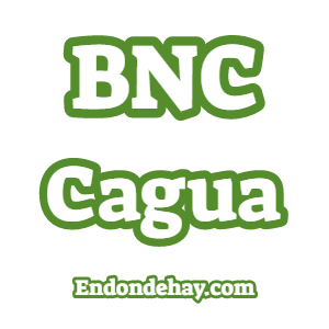 BNC Cagua