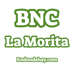 BNC La Morita