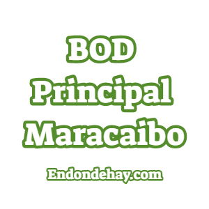 BOD Principal Maracaibo