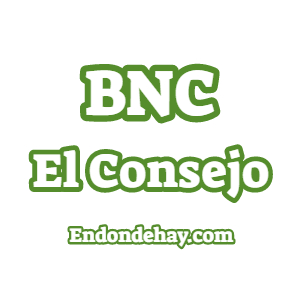 Banco BNC El Consejo Alcaldía