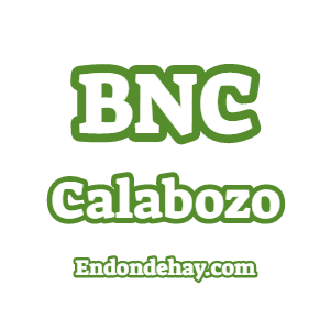 Banco Nacional de Crédito BNC Calabozo