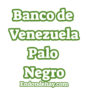 Banco de Venezuela Palo Negro