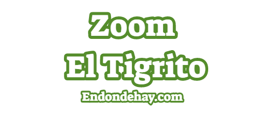 Zoom El Tigrito PREGASMAT|zoom el tigrito