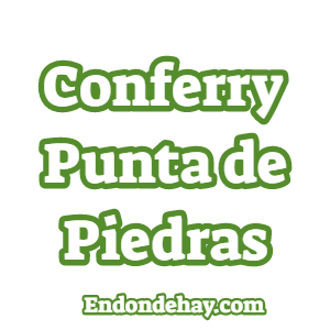 Conferry Punta de Piedras
