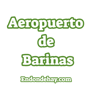 Aeropuerto de Barinas