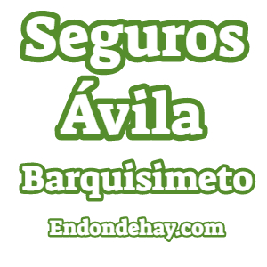 Seguros Ávila Barquisimeto