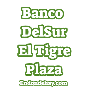 Banco DelSur El Tigre Plaza