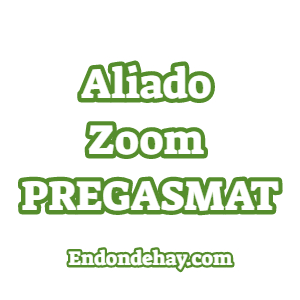 Aliado Zoom Premium Gases y Materiales CA PREGASMAT
