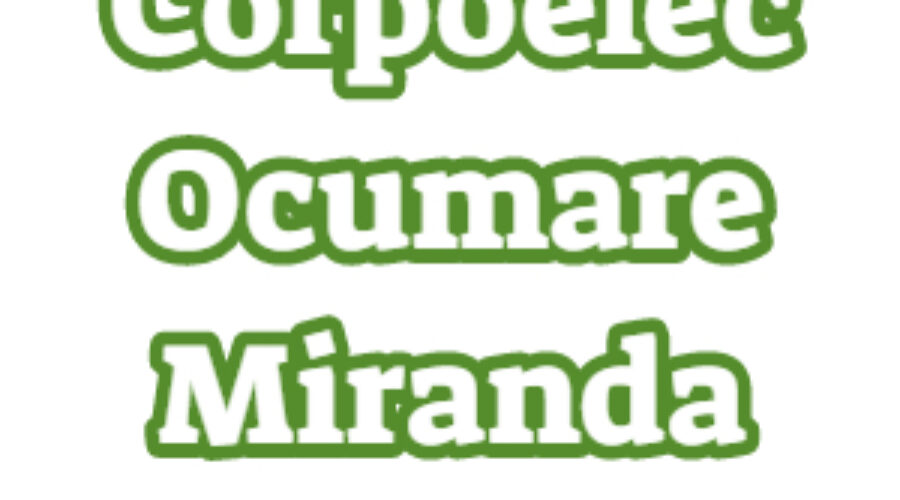 Corpoelec Ocumare Miranda