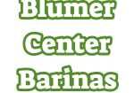Blumer Center Barinas
