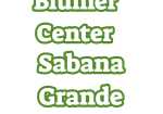Blumer Center Sabana Grande