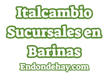 Italcambio Sucursales en Barinas