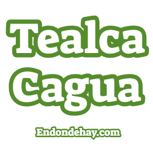 Tealca Cagua