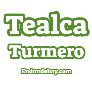 Tealca Turmero