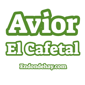 Avior Airlines El Cafetal