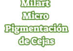 Milart Micropigmentación de Cejas en Caracas