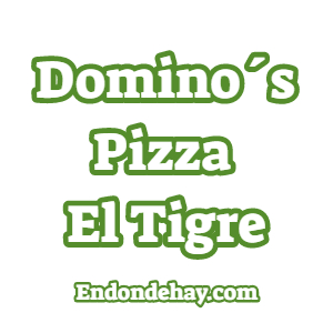 Dominos Pizza El Tigre