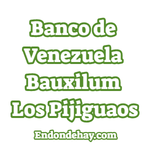 Banco de Venezuela Bauxilum Los Pijiguaos