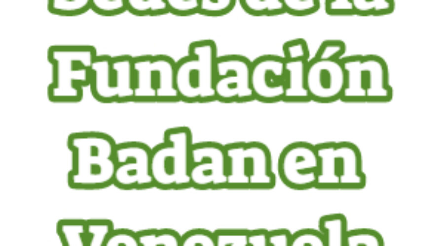 Fundación Badan