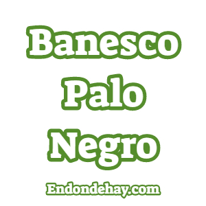 Banesco Palo Negro